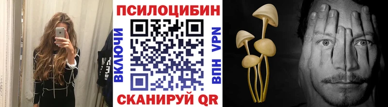 Псилоцибиновые грибы MAGIC MUSHROOMS  Тверь 