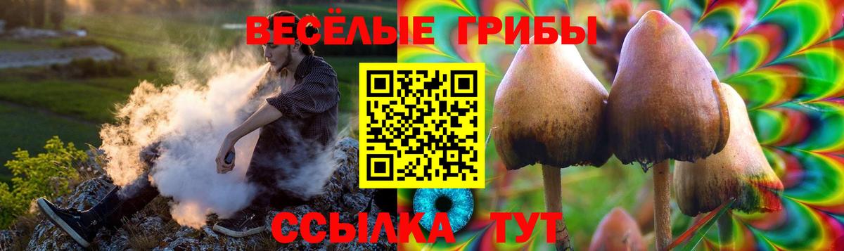 Галлюциногенные грибы Psilocybe  Вход с VPN  купить   Псилоцибиновые грибы Magic Shrooms  Тверь 